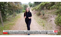 stasera alle 21 su videolina contadini in erba fa tappa berchidda