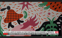 ulassai l arte di maria lai che continua ad accendere il presente