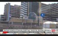 oristano quarta vittima della west nile tavolo asl regione e provincia