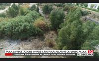 pula la vegetazione invade il rio pula allarme deflusso acque