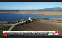 zona umide dell oristanese il convegno sugli effetti del cambiamento climatico