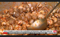 gesico celebra la lumaca con la kermesse gastronomica diretta su videolina