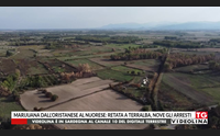 marijuana dall oristanese al nuorese retata a terralba nove gli arresti