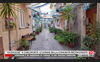giudicesse a carloforte le donne della comunit protagoniste