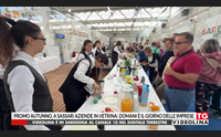 promo autunno a sassari aziende in vetrina domani il giorno delle imprese