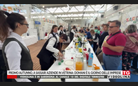 promo autunno a sassari aziende in vetrina domani il giorno delle imprese