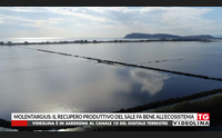 molentargius il recupero produttivo del sale fa bene all ecosistema