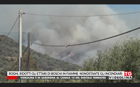 roghi ridotti gli ettari di boschi in fiamme nonostante gli incendiari