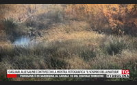 cagliari alle saline contivecchi la mostra fotografica il sospiro della natura