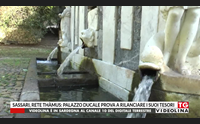 sassari rete th mus palazzo ducale prova a rilanciare i suoi tesori