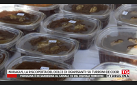 nuragus la riscoperta del dolce di ognissanti su turroni de cixiri