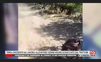 tergu incidente sul lavoro allevatore 52enne muore schiacciato dal trattore