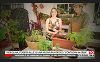 videolina stasera alle 21 una nuova puntata di contadini in erba