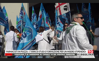 farmacisti in piazza 7 anni di studi e formazione per un misero stipendio