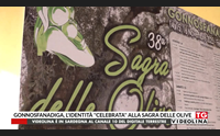 gonnosfanadiga l identit celebrata alla sagra delle olive