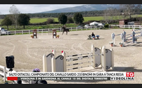salto ostacoli campionato del cavallo sardo 210 binomi in gara a tanca regia