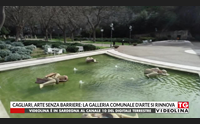 cagliari arte senza barriere la galleria comunale d arte si rinnova