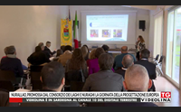 nurallao promossa dal consorzio dei laghi e nuraghi la giornata della progettazione europea