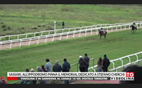sassari all ippodromo pinna il memorial dedicato a stefano cherchi