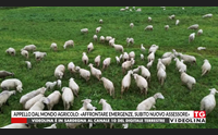 appello dal mondo agricolo affrontare emergenze subito nuovo assessore
