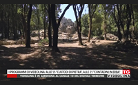 i programmi di videolina alle 15 custodi di pietra alle 21 contadini in erba