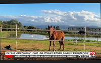 iglesias maneggio inclusivo una storia di ritorni cavalli e riabilitazione