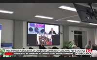fare impresa in sardegna la camera di commercio coaching per il digitale