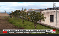 lanusei seminare oltre il tempo orto e frutteto dietro le sbarre