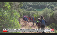 montevecchio viaggio tra miniere e sapori della sardegna