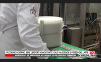 pecorino romano bene l export nonostante i dazi ma scende il prezzo del latte
