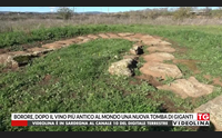 borore dopo il vino pi antico al mondo una nuova tomba di giganti