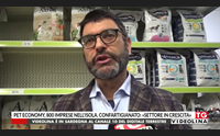 pet economy 800 imprese nell isola confartigianato settore in crescita