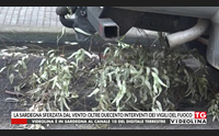 la sardegna sferzata dal vento oltre duecento interventi dei vigili del fuoco