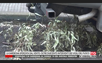 la sardegna sferzata dal vento oltre duecento interventi dei vigili del fuoco