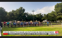 cagliari cross citt di cagliari 600 atleti in gara nel parco di molentargius