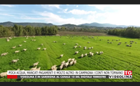 poca acqua mancati pagamenti e molto altro in campagna i conti non tornano