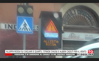 allerta rossa su cagliari e quartu strade chiuse e alberi caduti per il vento