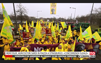 mercosur agricoltori sardi in piazza a strasburgo concorrenza sleale