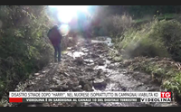 disastro strade dopo harry nel nuorese (soprattutto in campagna) viabilit ko