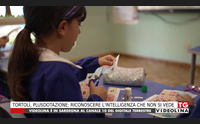 tortol plusdotazione riconoscere l intelligenza che non si vede