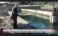 orosei spiagge e peschiera devastate perso il pesce allevato