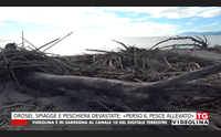 orosei spiagge e peschiera devastate perso il pesce allevato