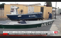 golfo aranci la crisi della pesca il settore a rischio scomparsa