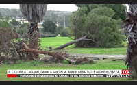 il ciclone a cagliari danni a sant elia alberi abbattuti e alghe in piazza