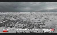 l impatto della mareggiata gli studi delle universit di ferrara e cagliari