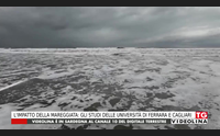 l impatto della mareggiata gli studi delle universit di ferrara e cagliari