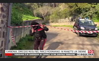 carbonia omicidio musu nel parco rosmarino in manette un 38enne
