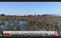 parco di molentargius persiste l emergenza rifiuti nell area protetta