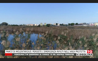 parco di molentargius persiste l emergenza rifiuti nell area protetta