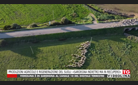 produzioni agricole e rigenerazione del suoli sardegna indietro ma in recupero